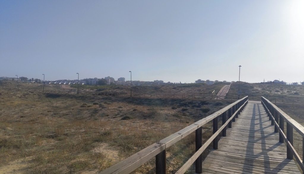 full_1476642_65102330