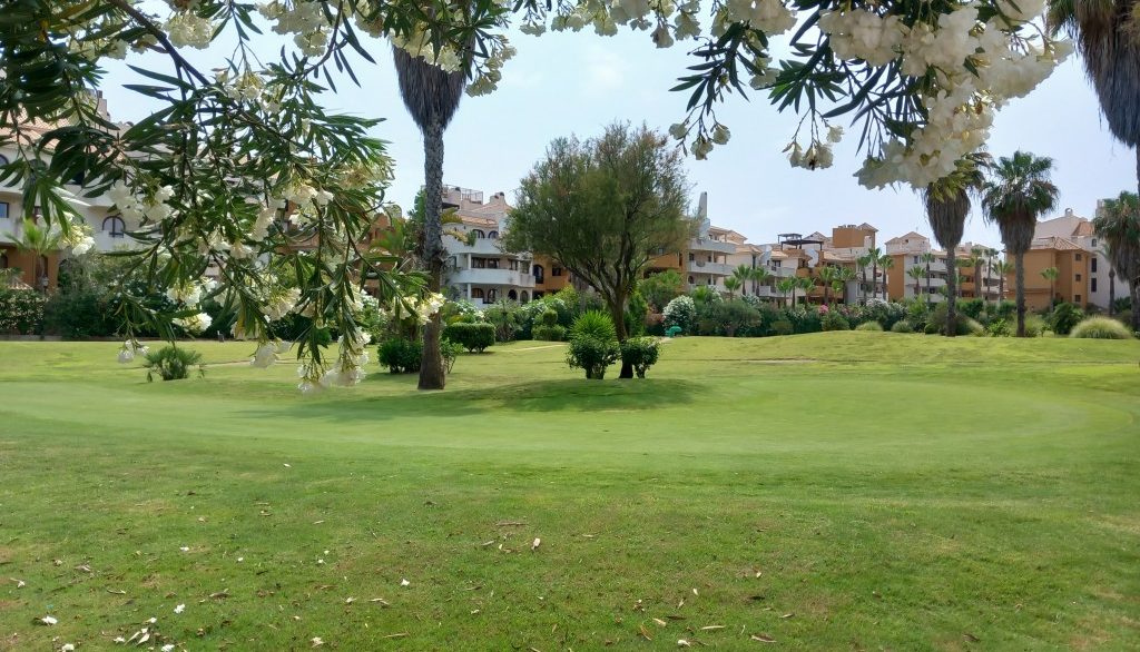 full_1482936_65249842