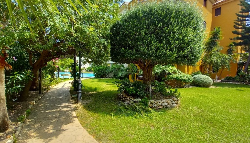 full_1482936_65249852