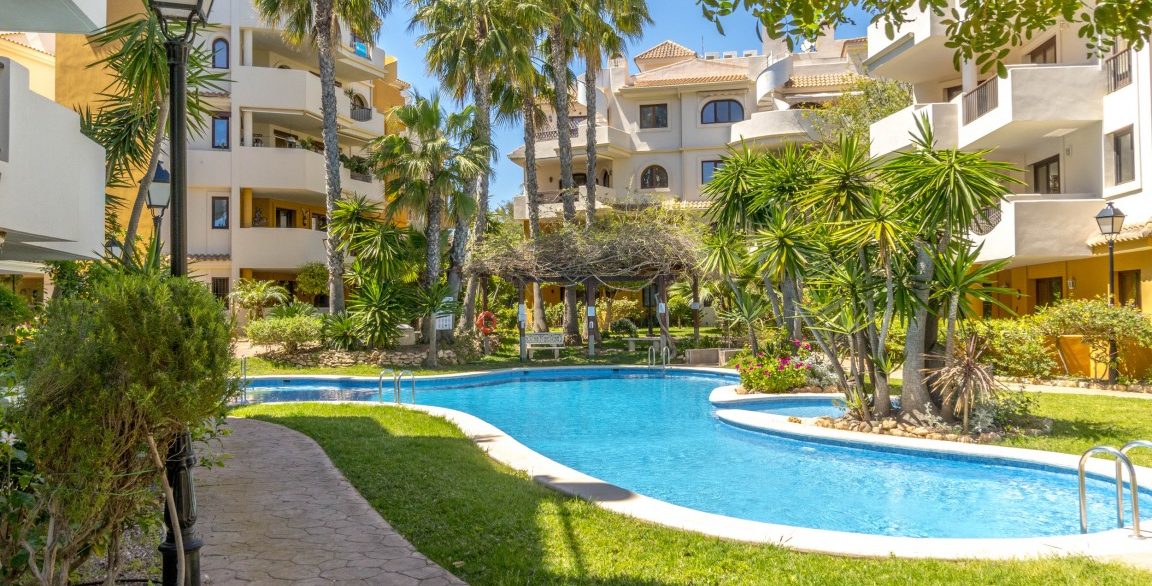 full_1482936_65249860