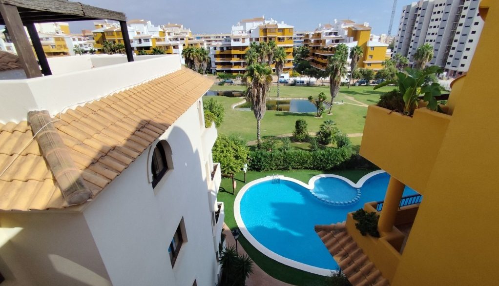 full_1482936_65249902