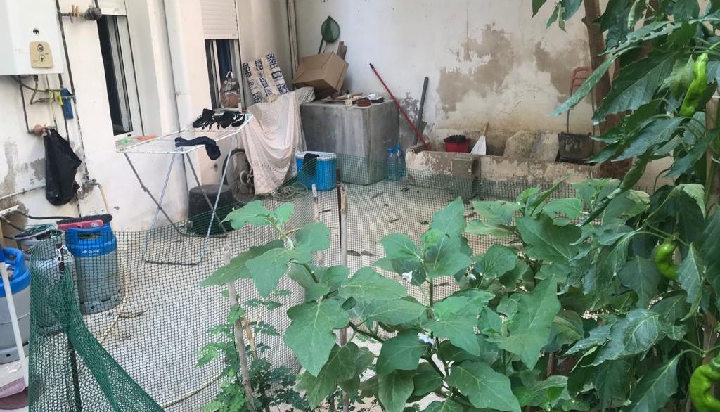 o_1gdkqvcrl1vchc3d156rhutl5g1s