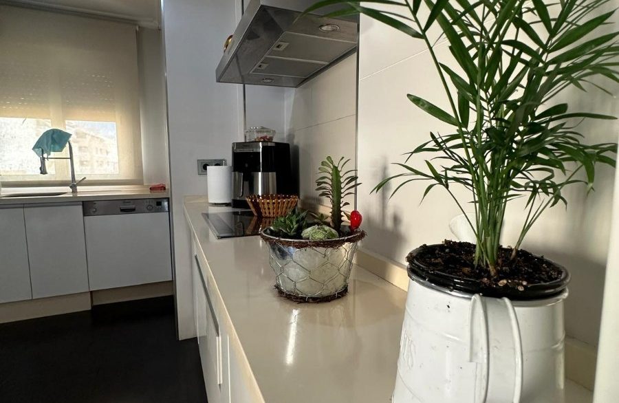 o_1iru8ts021odk10mreuhmfa6ot2m