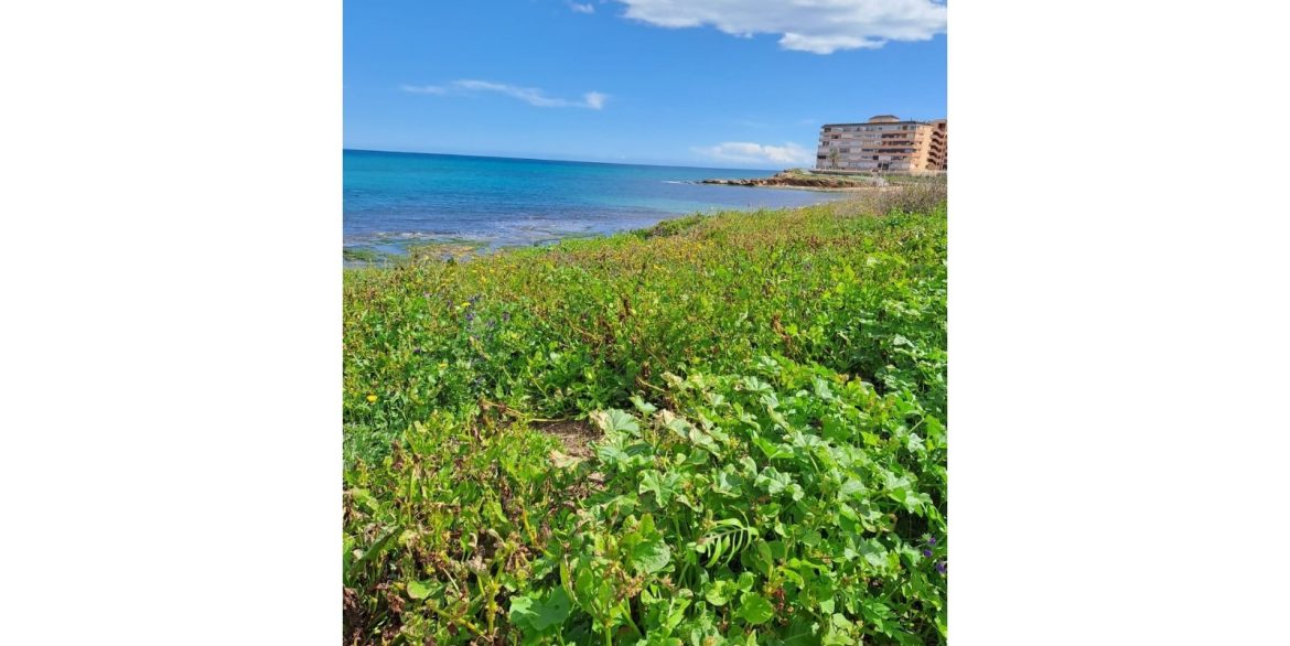 o_1j80moglub5u1keb1526euu1mj227