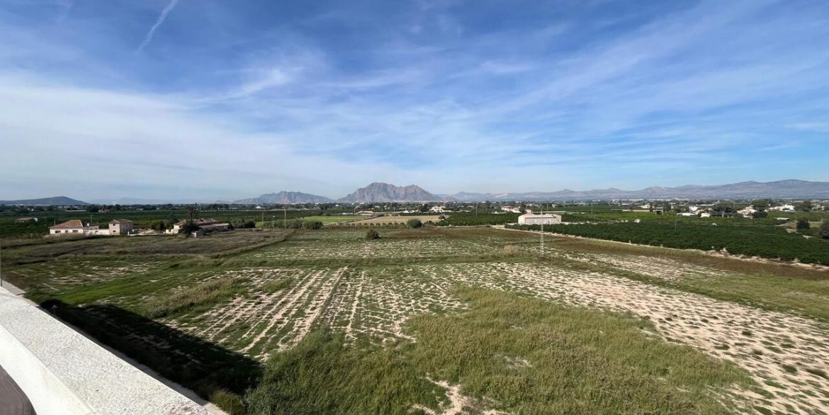 158825-apartment-for-sale-in-almoradi-30866469-large