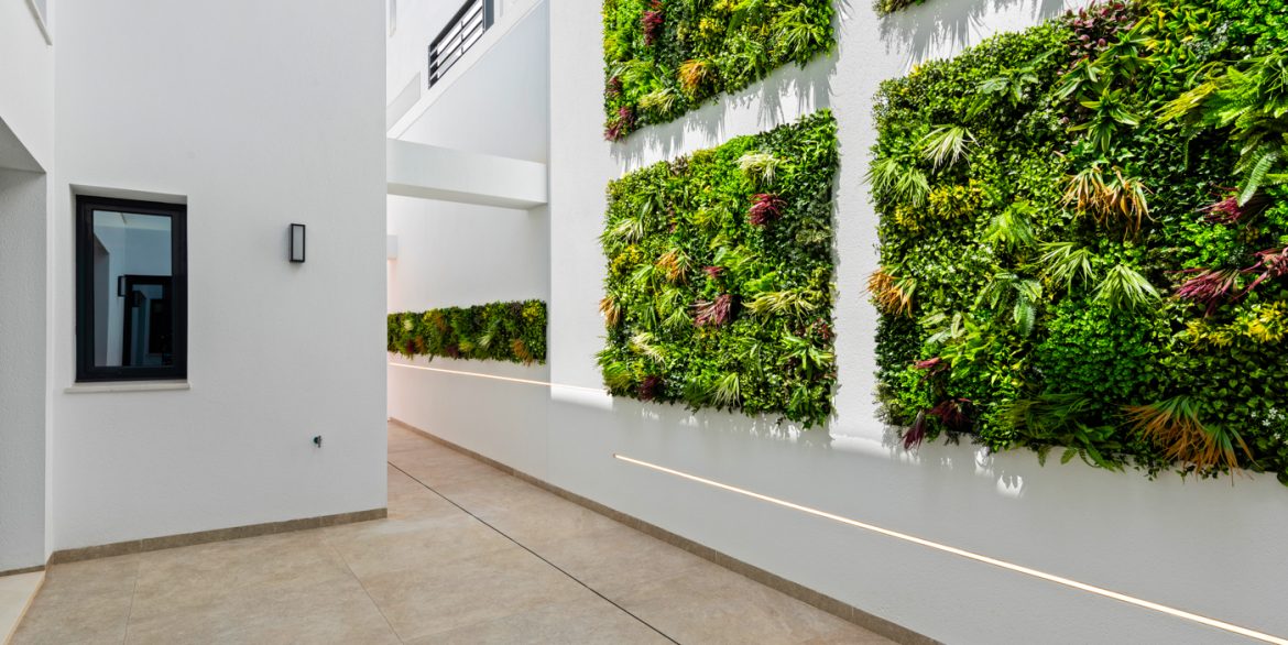 181515_67447d24d9df9