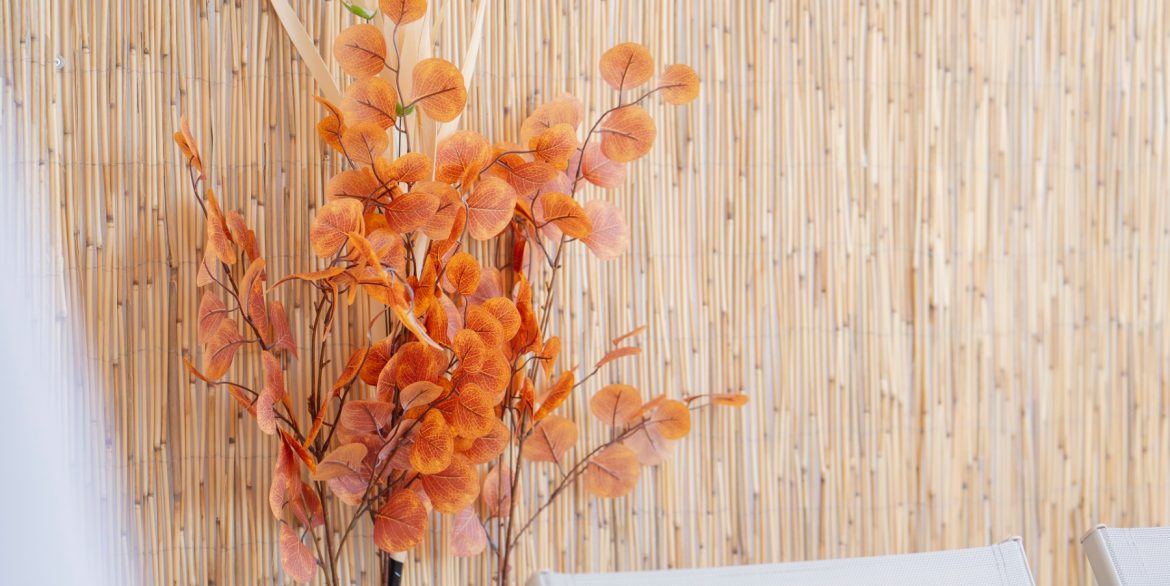 o_1ivqa8sfpq46165s1a131eas1p9v3g