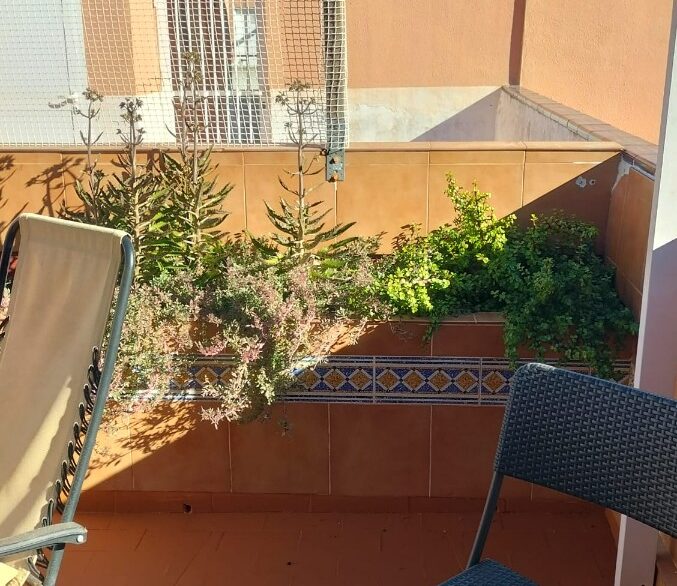 o_1jcofes1e10h6qv93mqrtr1apk1r