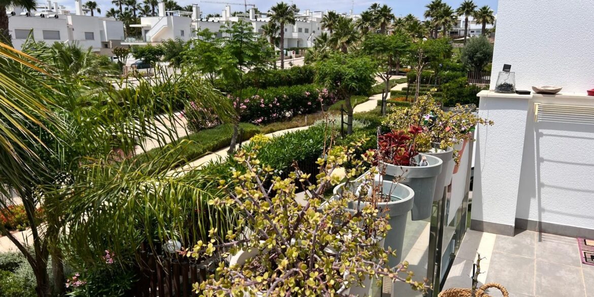 1006771_699d5b70ba0e1