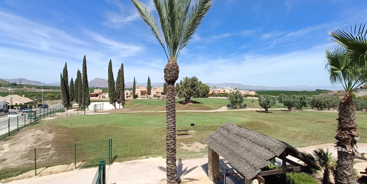 11134_amazing_detached_viilla_for_sale_020925171121_sol_1