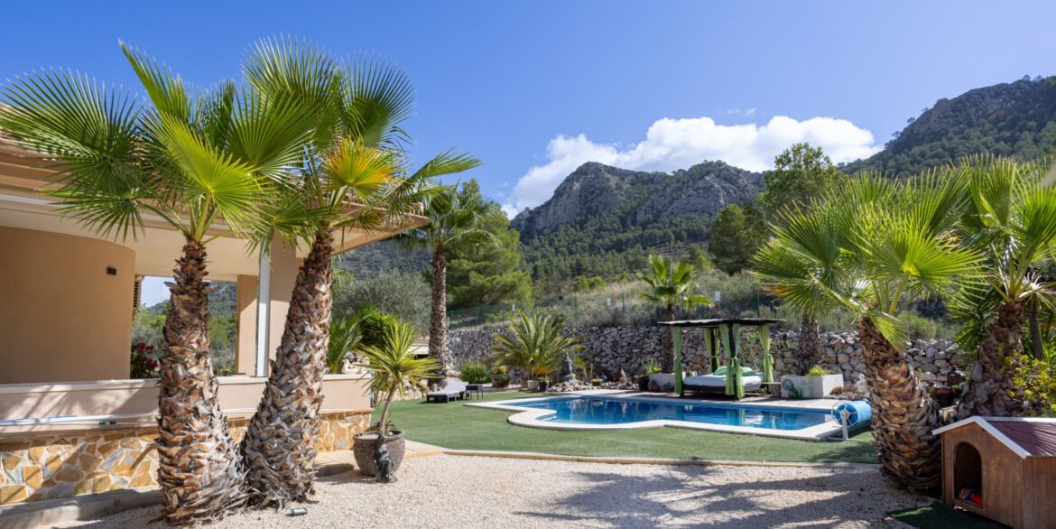 1141197_699d5b5e2a88a