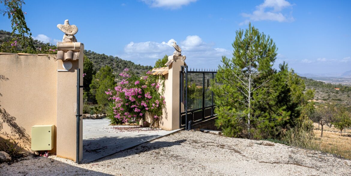 1141198_699d5b9ccf033