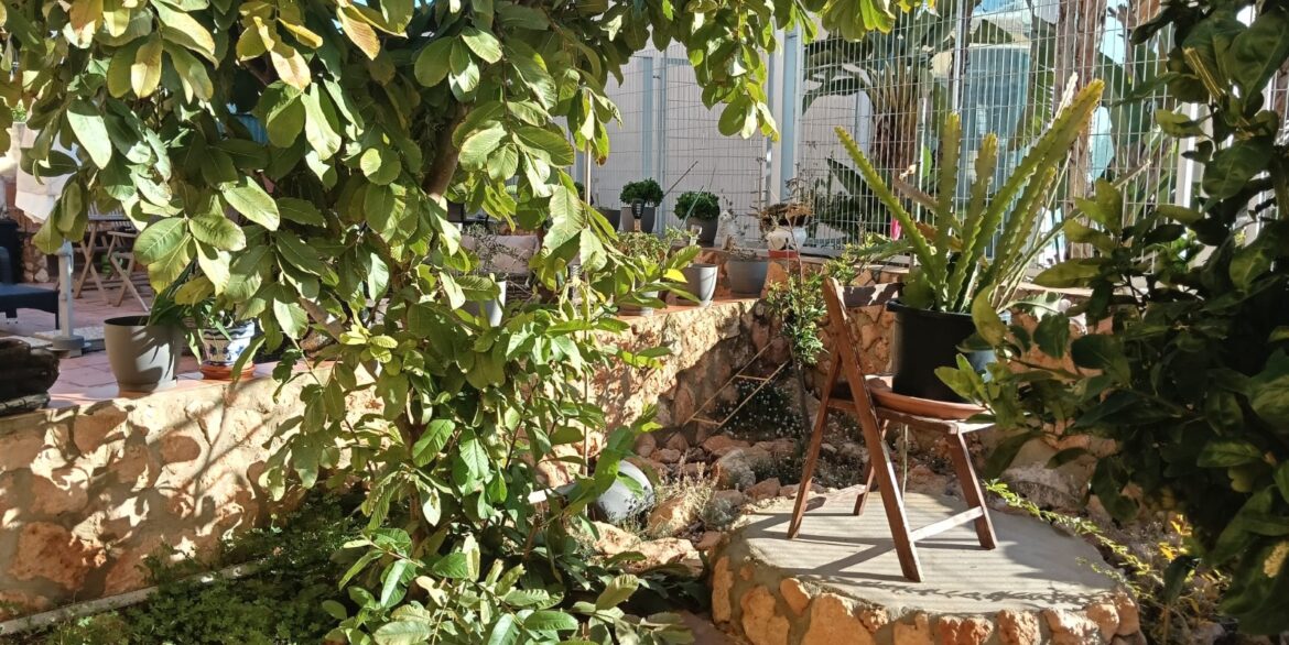 1208039_699d5becca2da