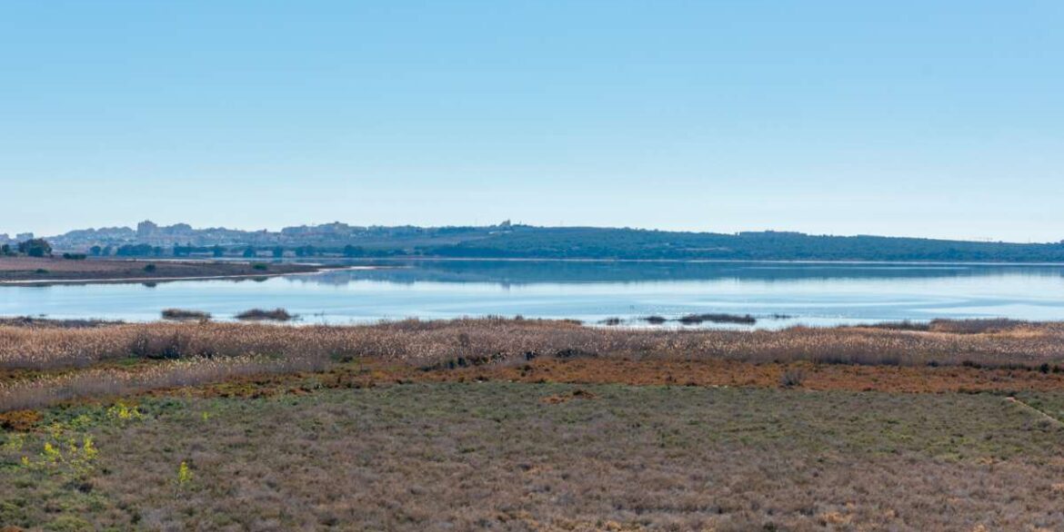 20240130120017000000_WEBSITE-38