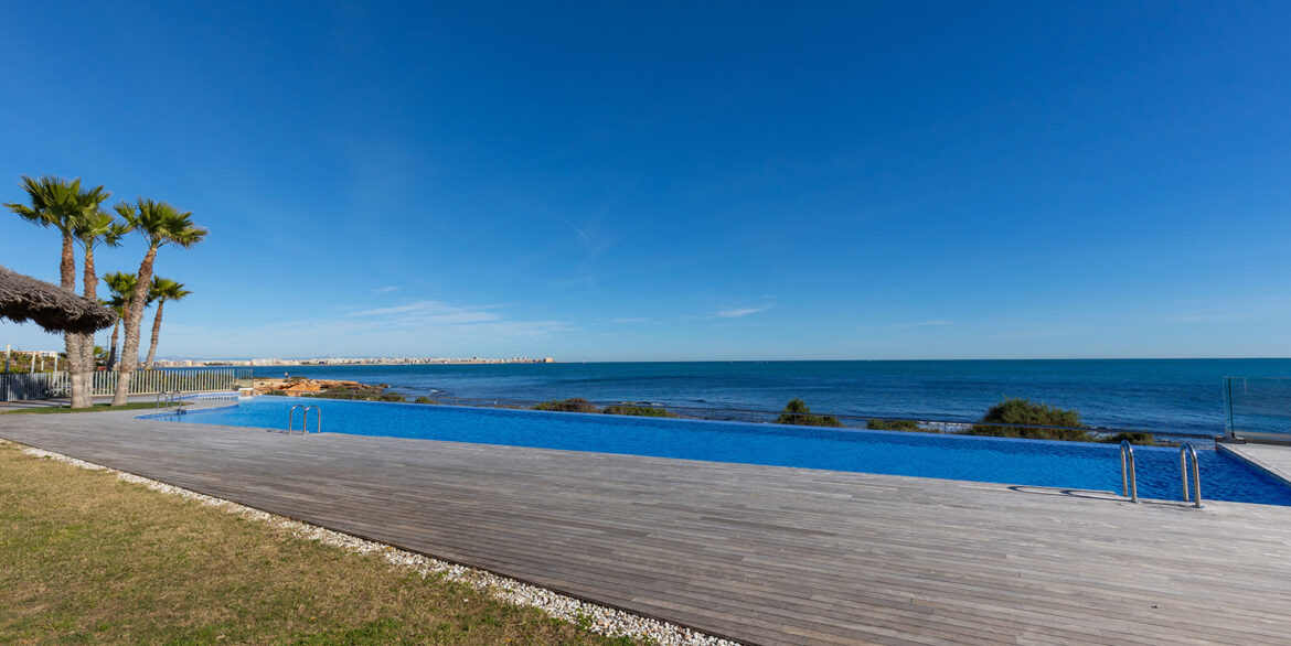 Posidonia y panorama mar