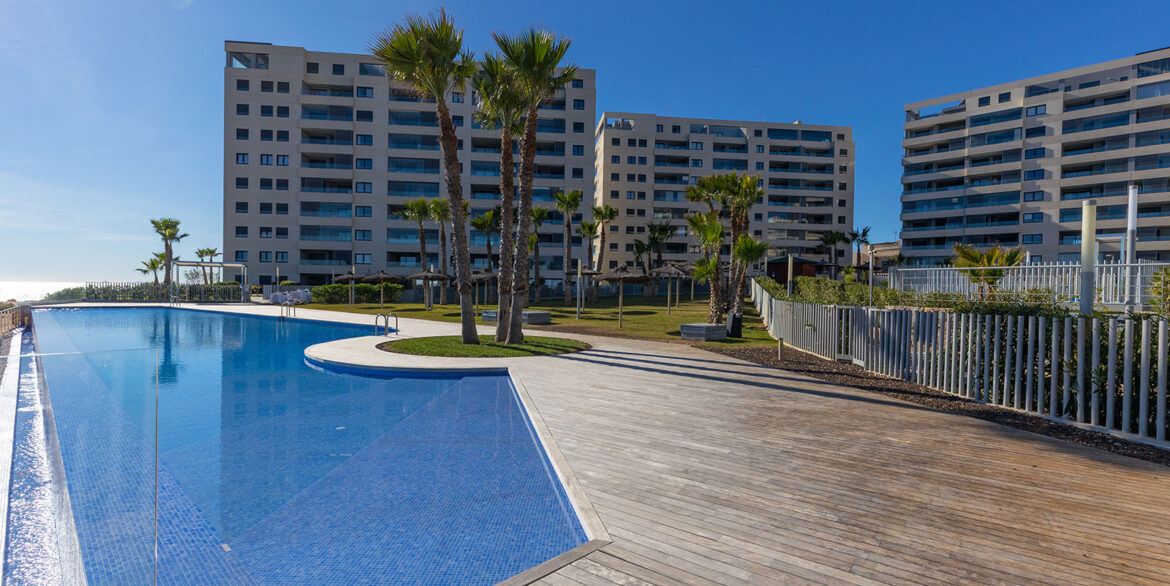 Posidonia y panorama mar