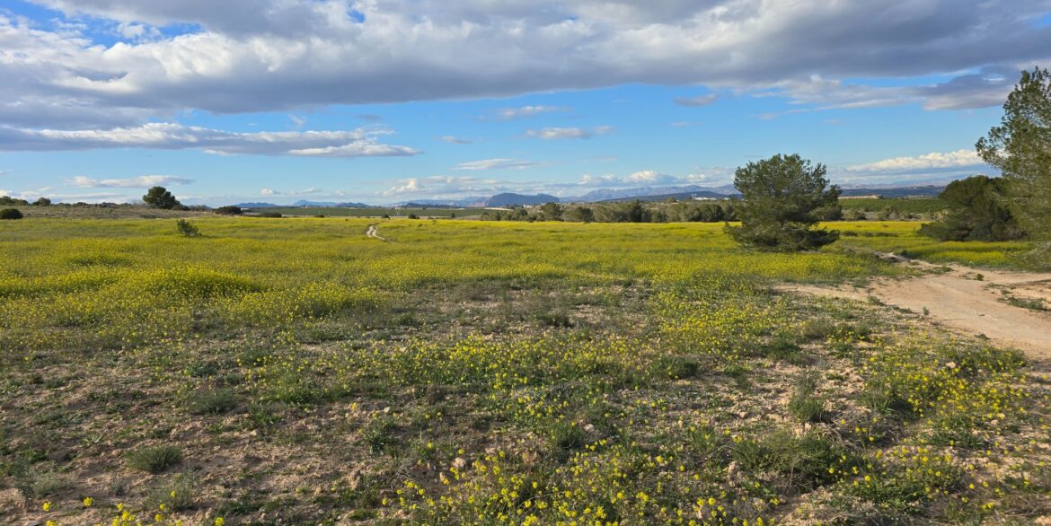 d697cb993d4896697cb993d48d3