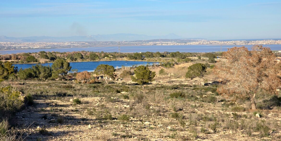 d697cb994e524c697cb994e5289