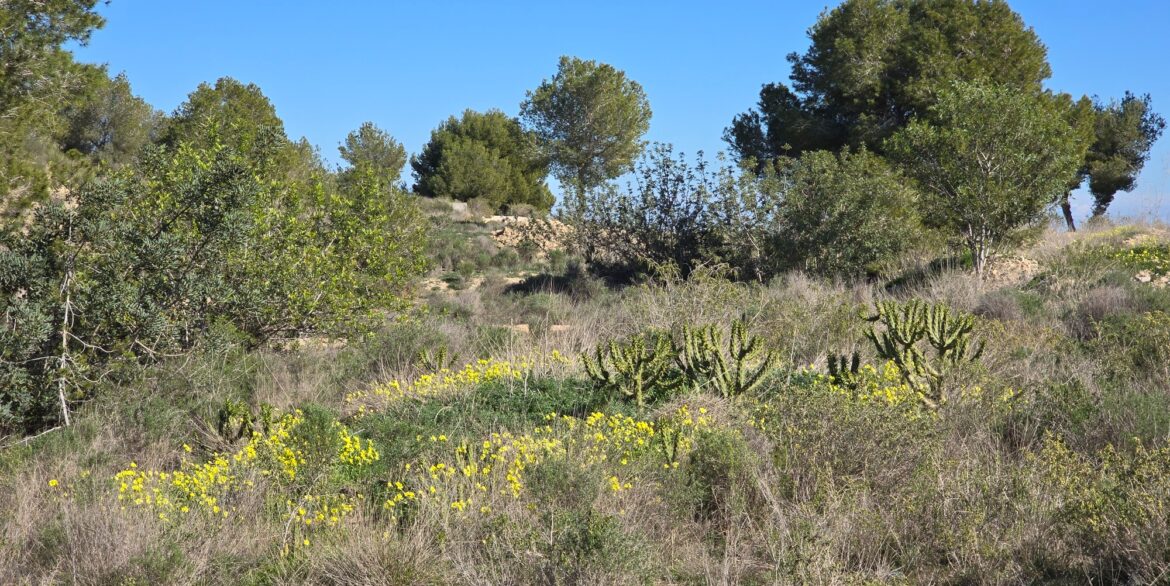 d697cb9982b486697cb9982b4c3