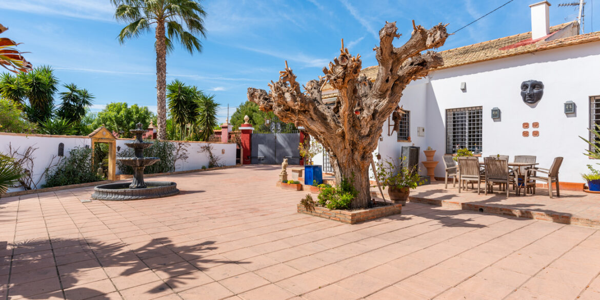 finca-daya-nueva-03159-40