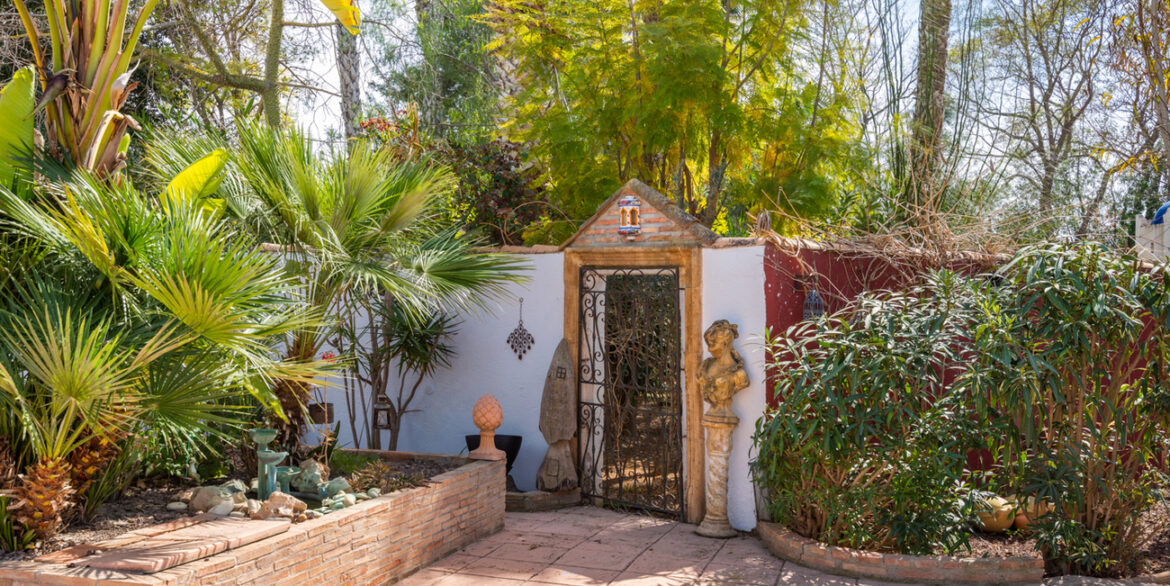 finca-daya-nueva-03159-42