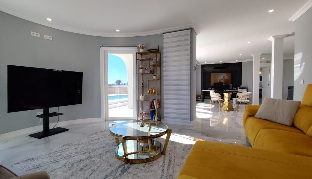 full_1237965_65786365