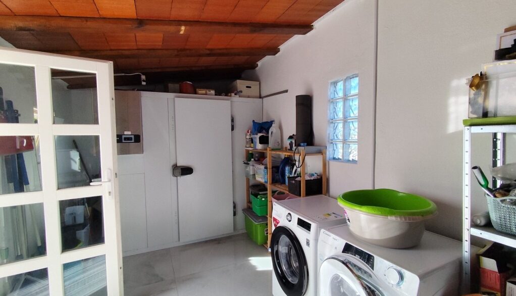 full_1237965_65786370