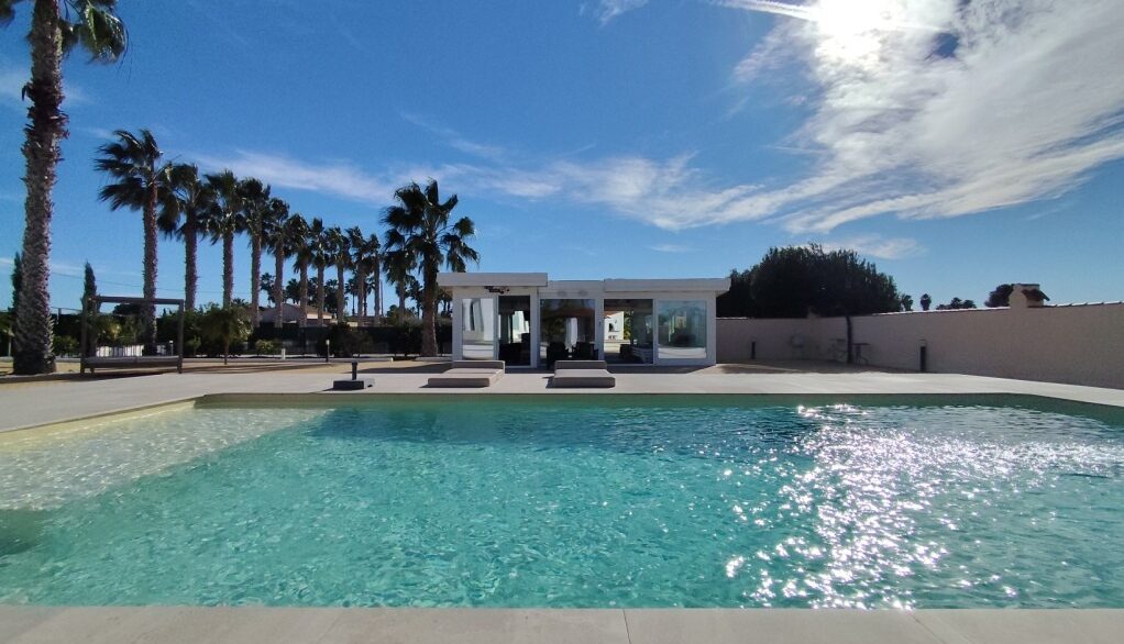 full_1237965_65786371