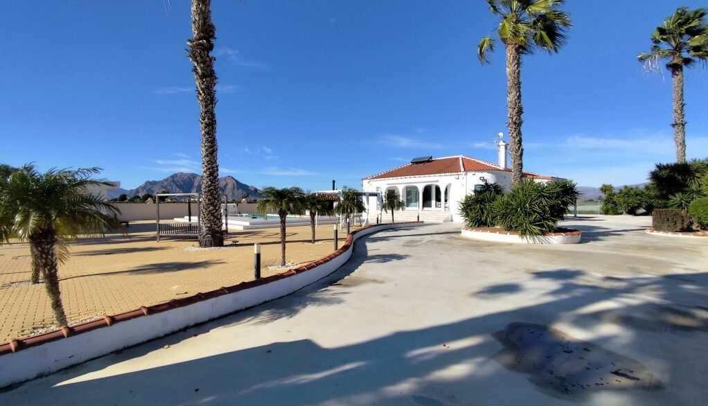 full_1237965_65786376