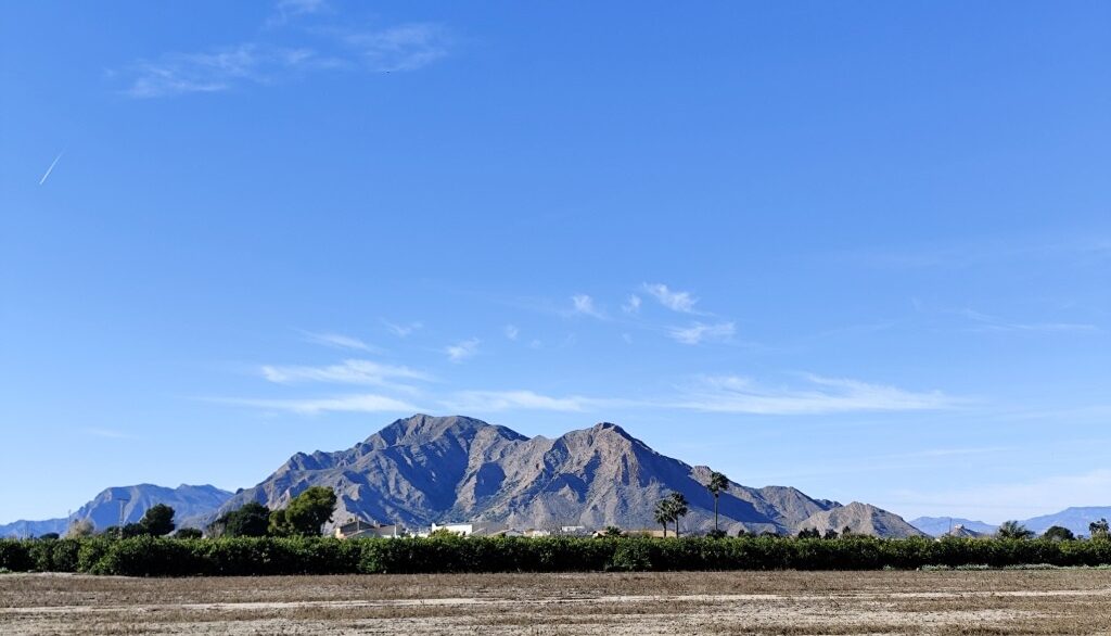 full_1237965_65786380