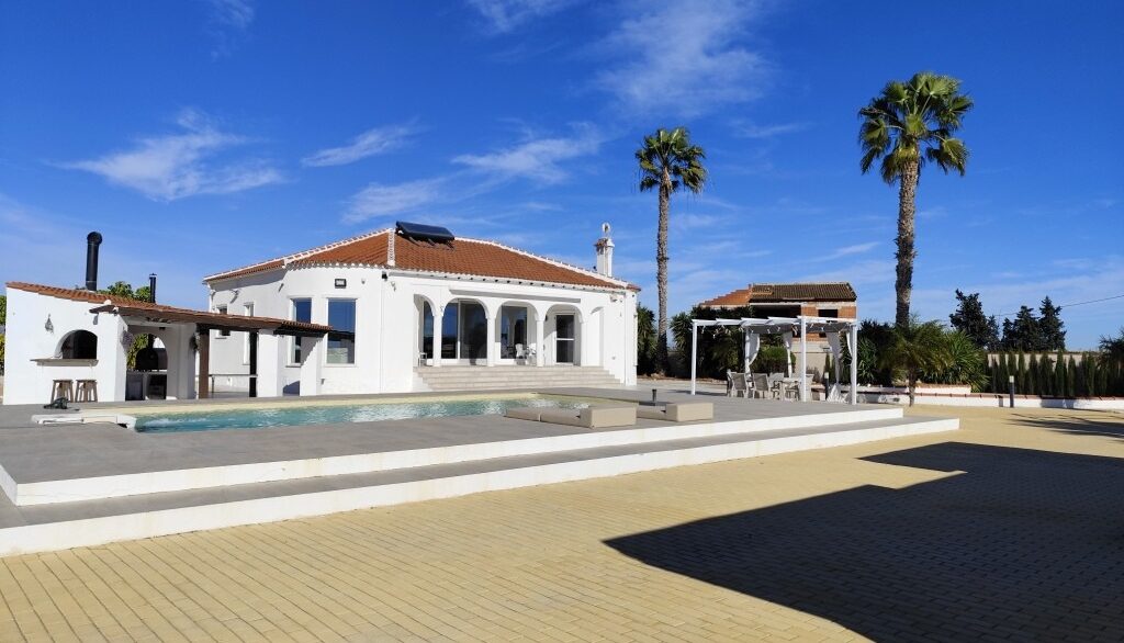 full_1237965_65786387