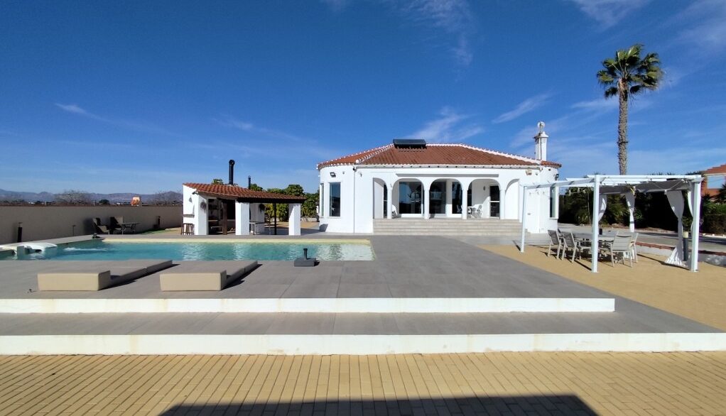 full_1237965_65786388