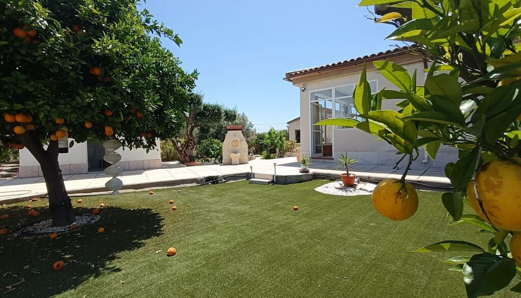 full_1450055_64493992