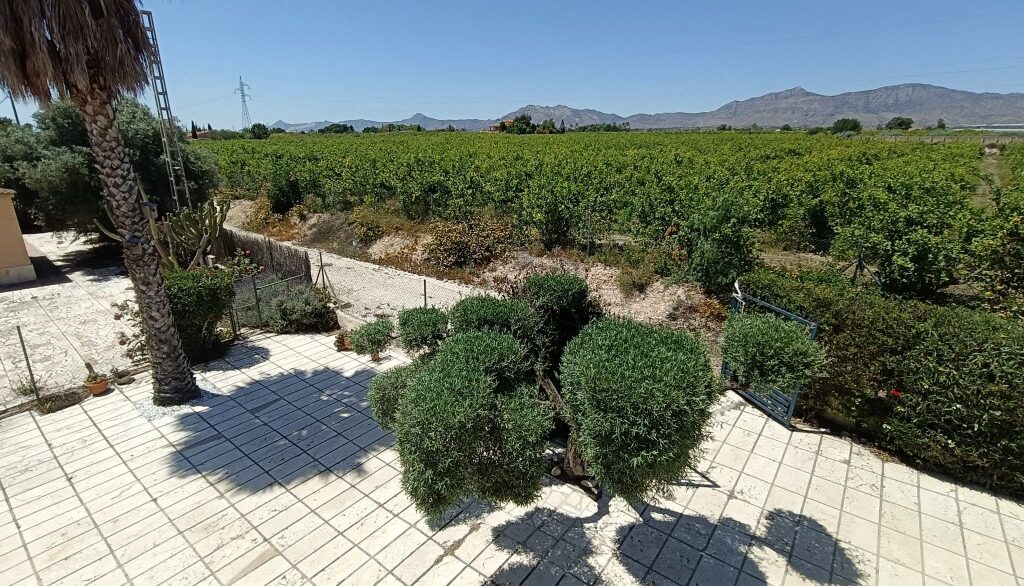 full_1450055_64493997