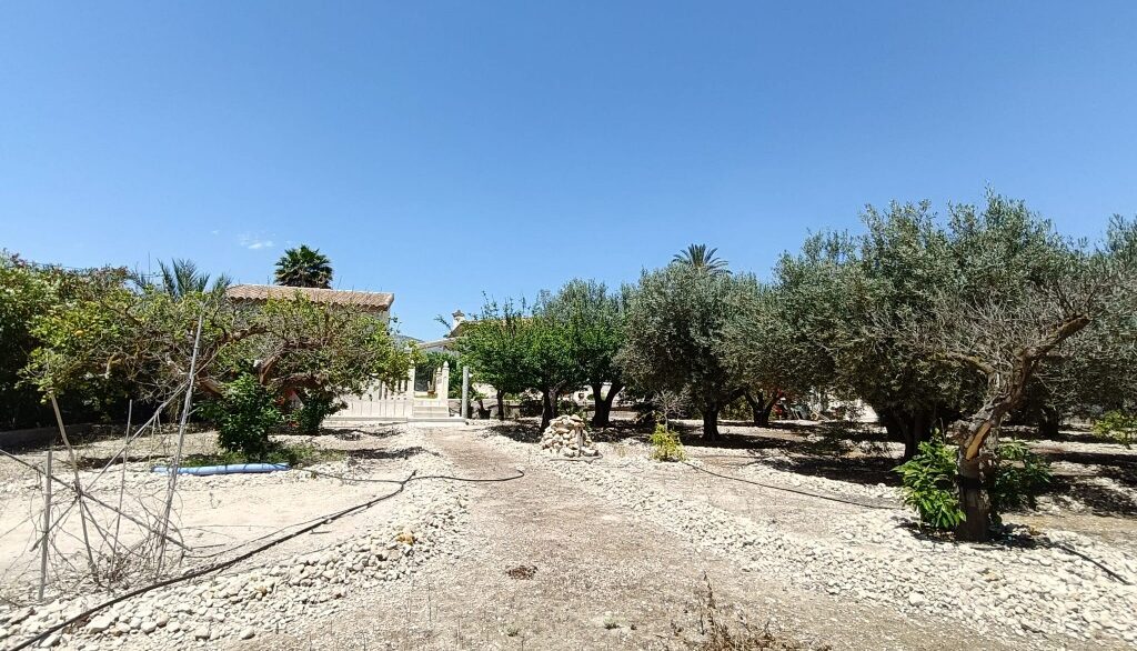 full_1450055_64494030