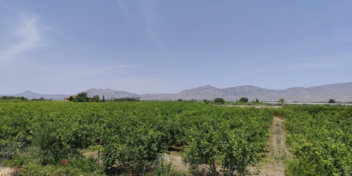 full_1450055_64756355