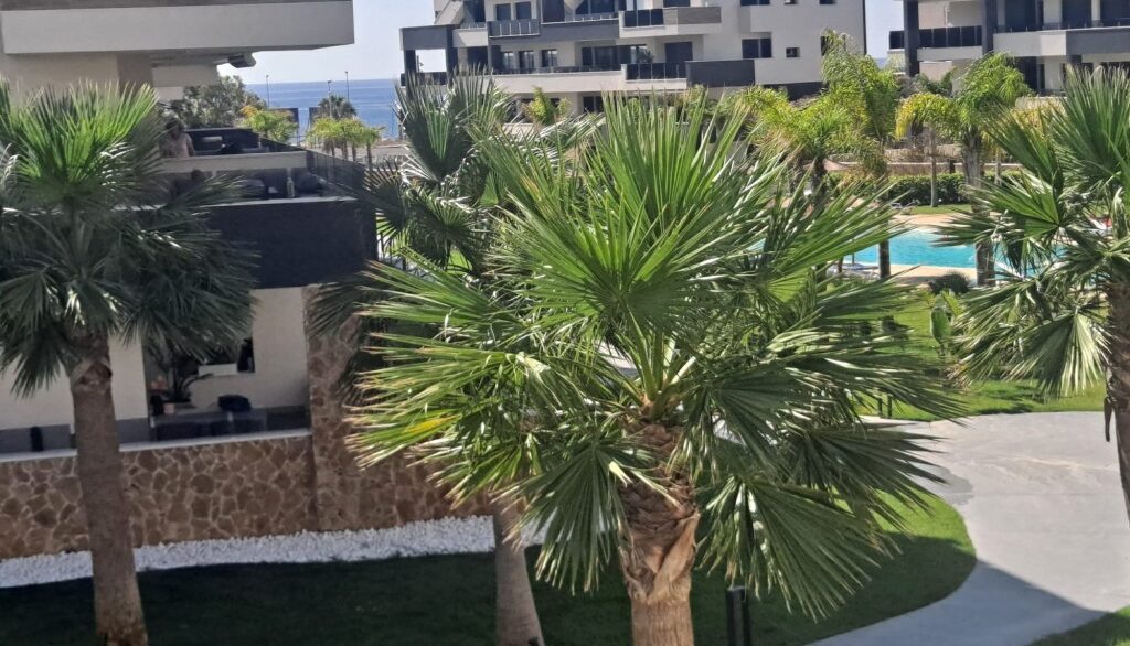 full_1467877_64889098