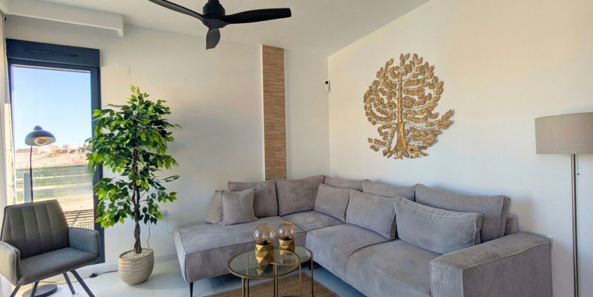 full_1493779_65501608