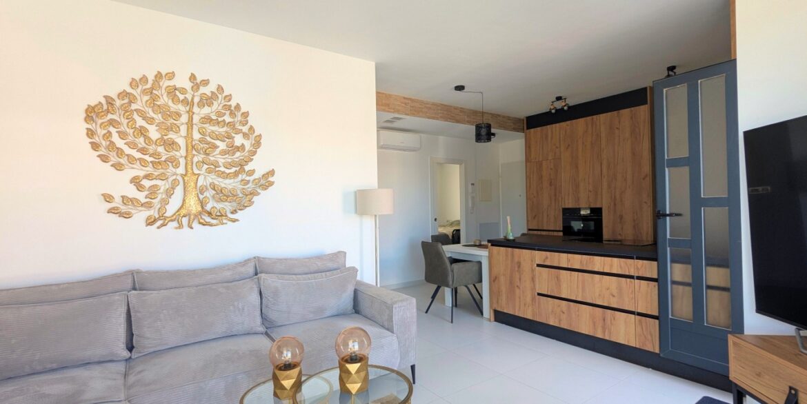 full_1493779_65501609