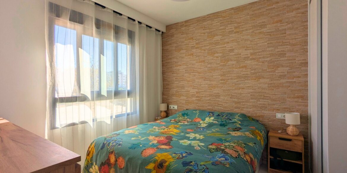 full_1493779_65501616