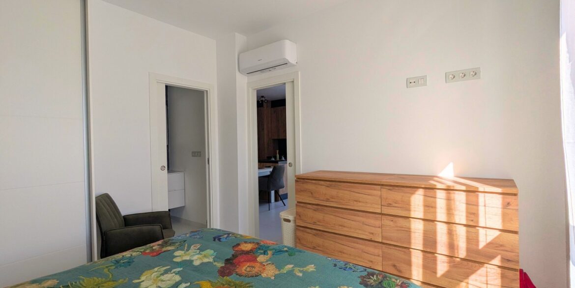 full_1493779_65501618