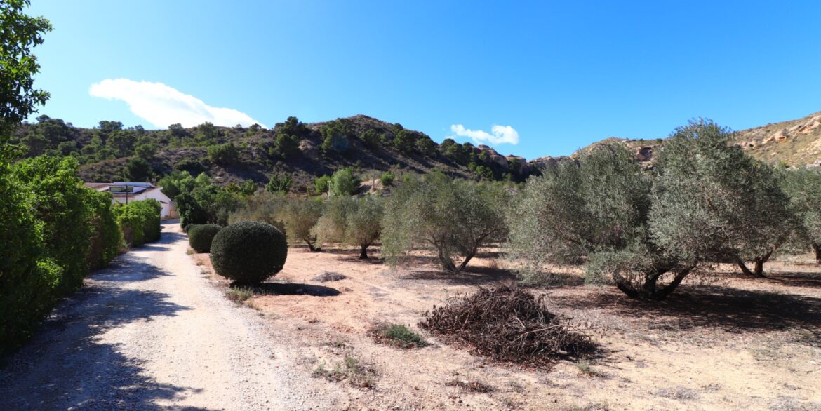 o_1hof02v21iai1af11scc7f11m4g3t