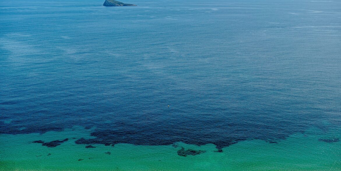 o_1iipmid8cell1pvr1s521af93tv64