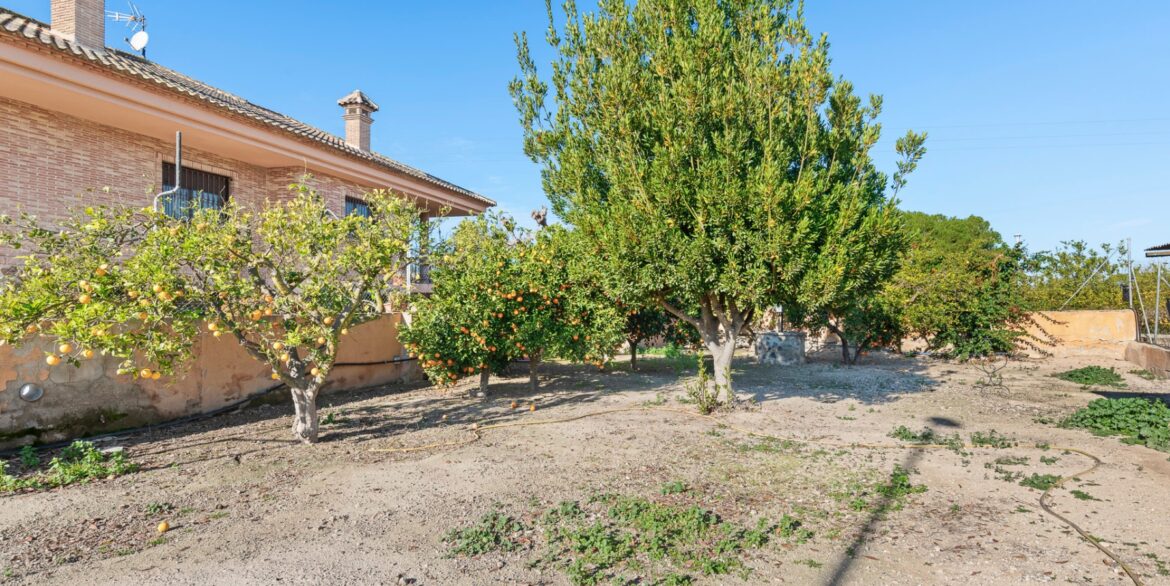 o_1ilvhg0prjani6se1c6c01q8b49