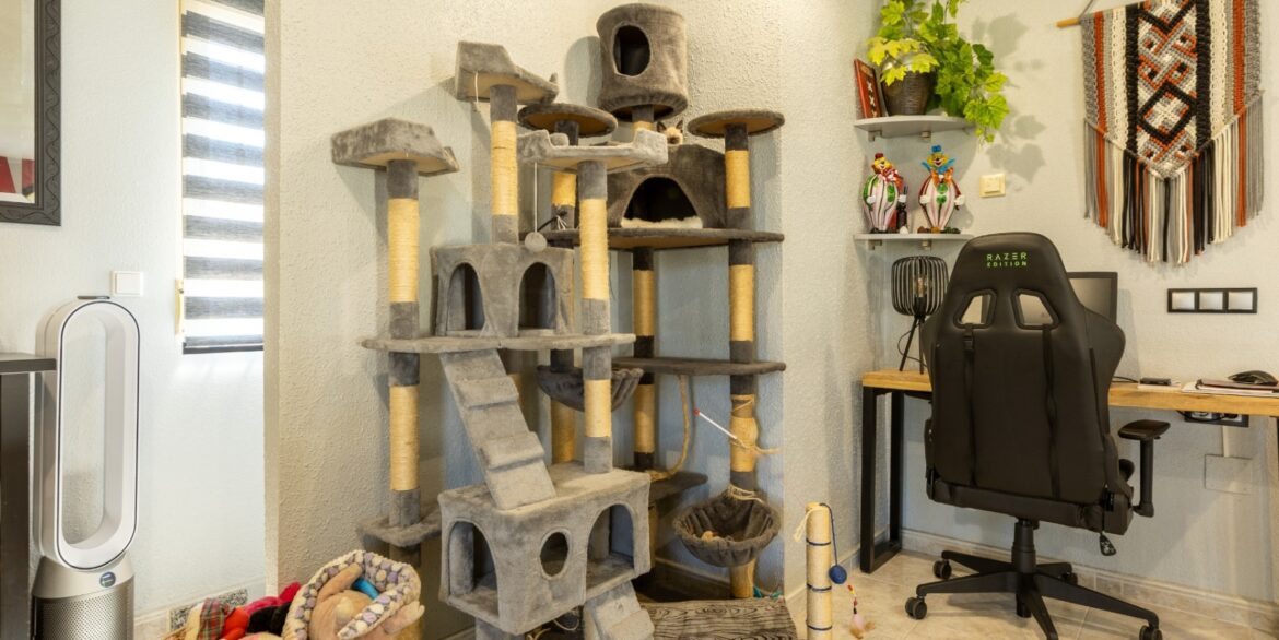 o_1ist7m5v817h81mtg13kmkl31f1a55