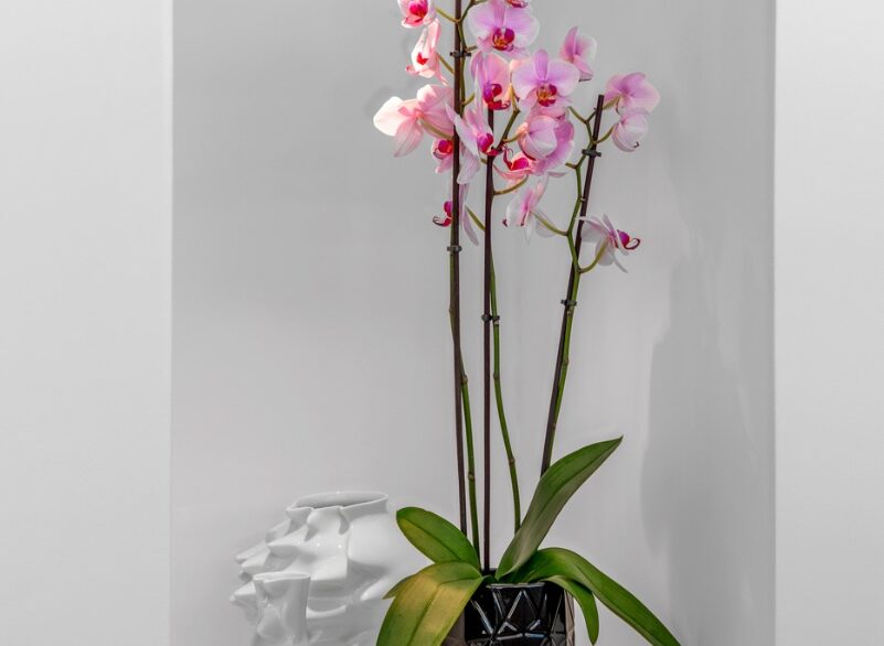 o_1j22kpn5m1ilo1h9dkrl3pg1vhv49