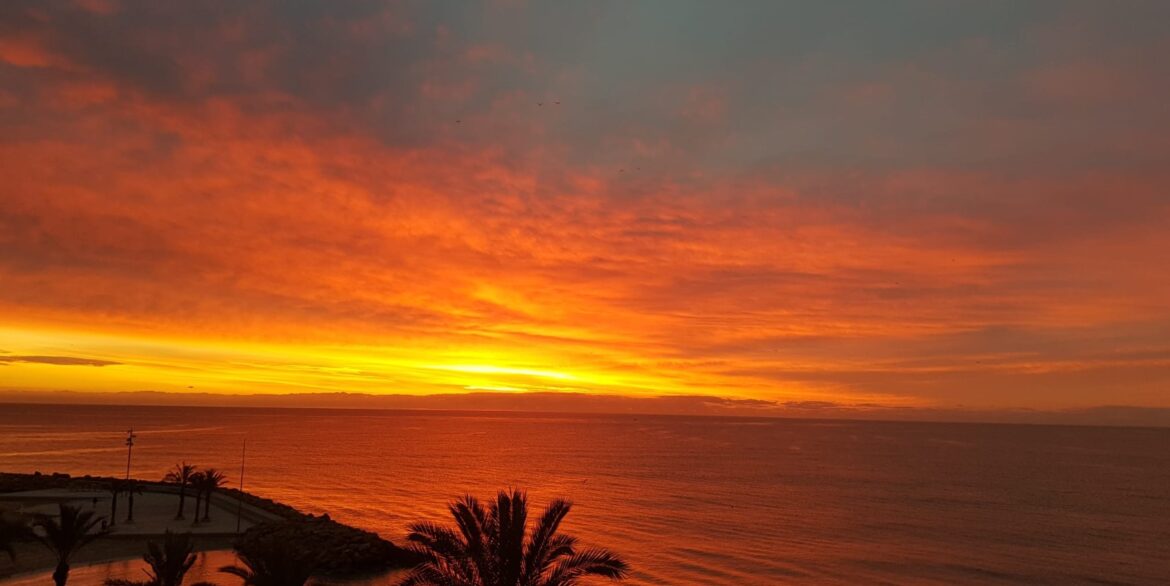 o_1j45c64j81hv23cm1gjj1rac1ghc3j