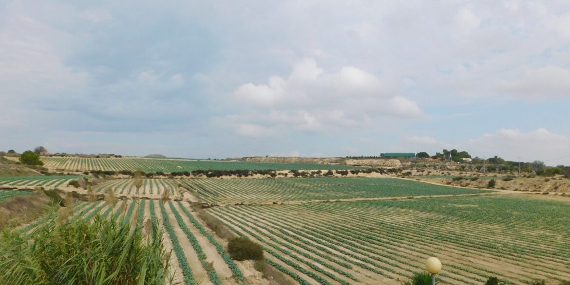 o_1j80f55ga1bku1tmh17n3im3pam3v