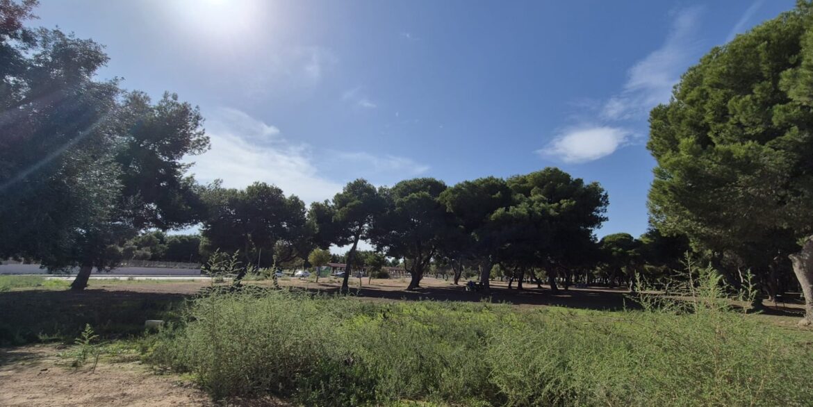 o_1jeorhq7f1q7sh3i1rg4s0s14m61f