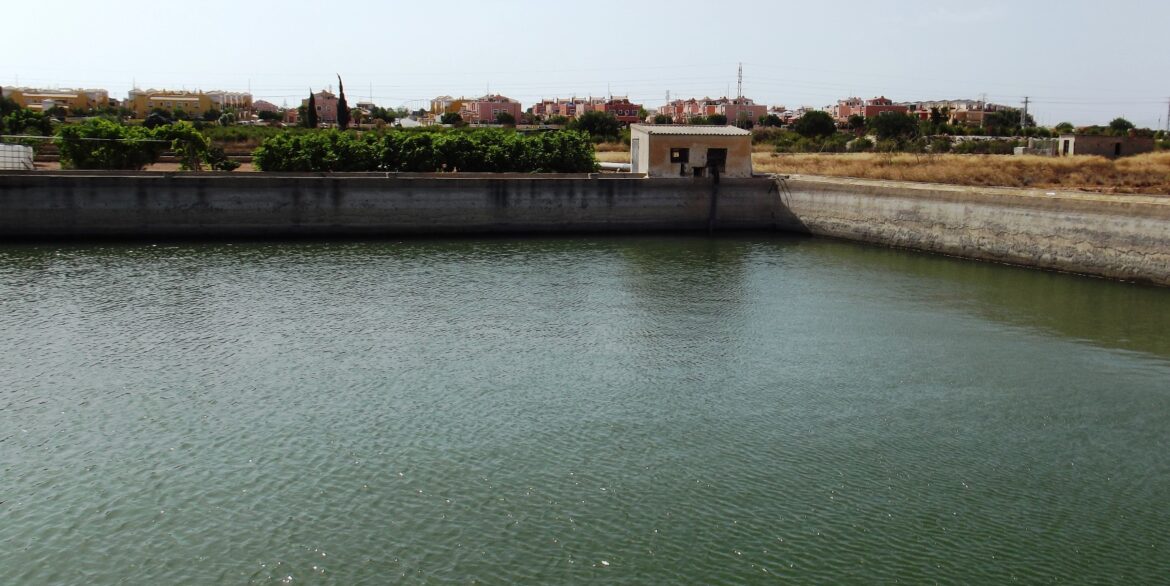 p1apdbm0sofj610bi1avj1onv1a4hl